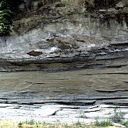 Geologischer Aufschluss in der Oberen Süsswassermolasse in der Saane-Schlucht bei Arconciel (FR). In der unteren Hälfte typische Sedimentgesteine, welche durch Gezeitenströmungen und Wellen transportiert und abgelagert wurden.